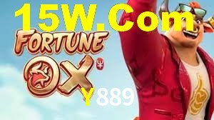Y889,Y889.Com